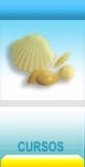 spa cursos