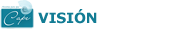 vision